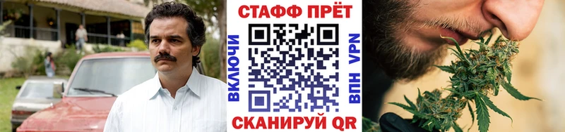 Магазины продажи наркотиков Будённовск КОКАИН ГАШИШ А ПВП Каннабис