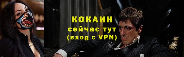 молекула духа Новозыбков