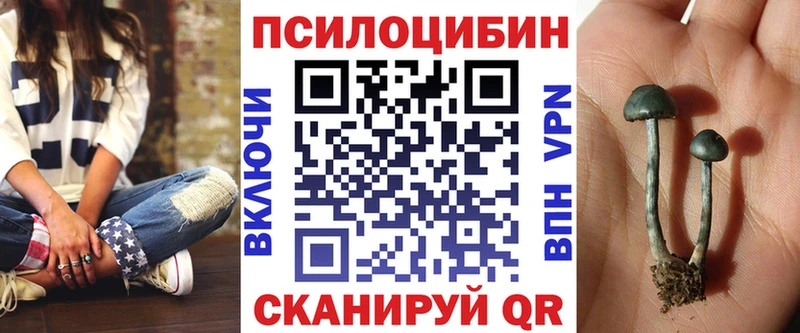 нарко площадка Telegram  магазин    Будённовск  Галлюциногенные грибы GOLDEN TEACHER 